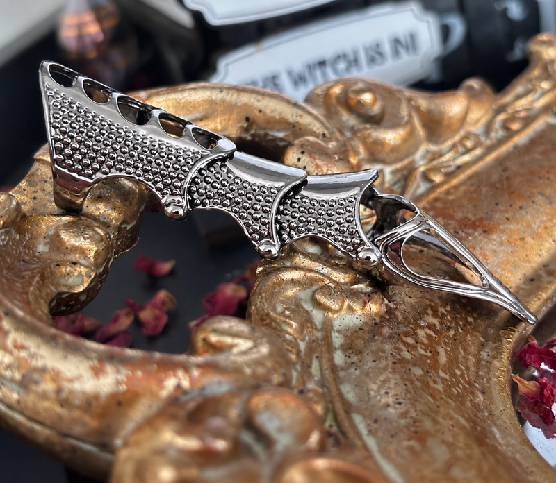 Dragon Claw Ring Silver | Drachen Krallen Ring Silber | Gothic