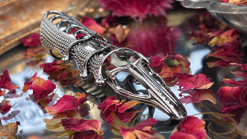 Dragon Claw Ring Silver | Drachen Krallen Ring Silber | Gothic