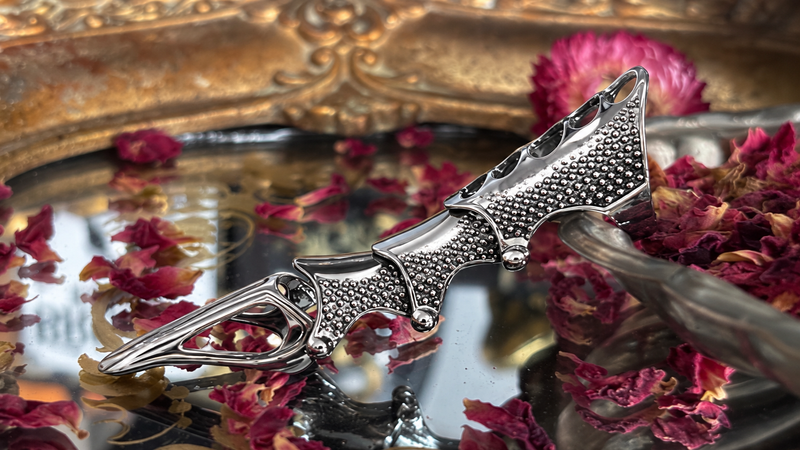 Dragon Claw Ring Silver | Drachen Krallen Ring Silber | Gothic